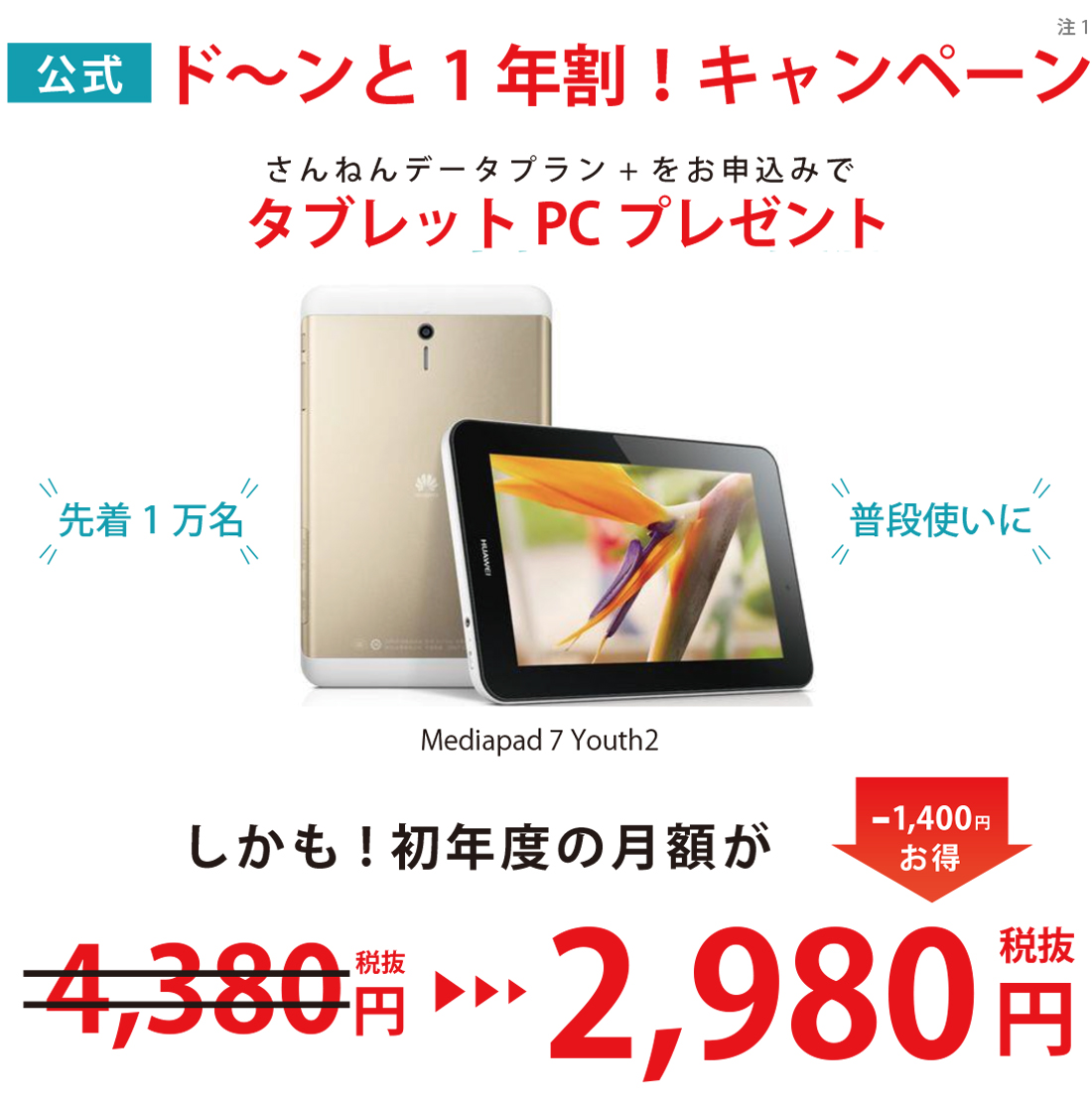 ド〜ンと1年割りキャンペーン